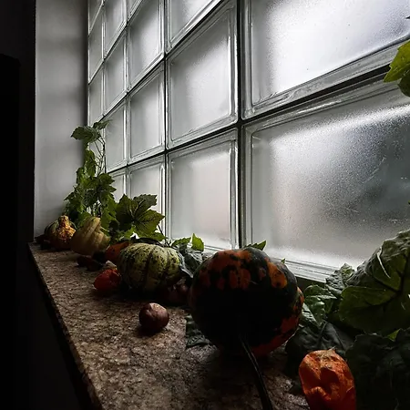 Maison d'hôtes Goscinne Denega *